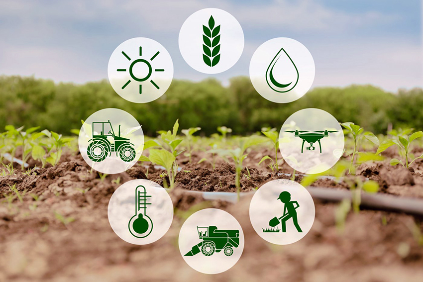 IoT applicazioni smart agriculture
