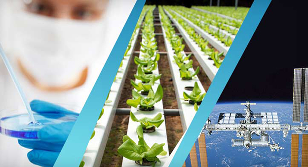 Miur bando ricerca industriale cluster