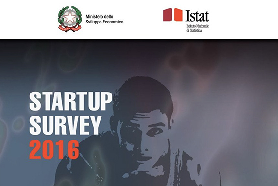 survey startup