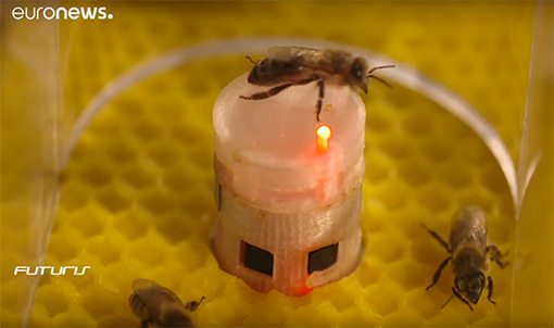interazione sociale robot api