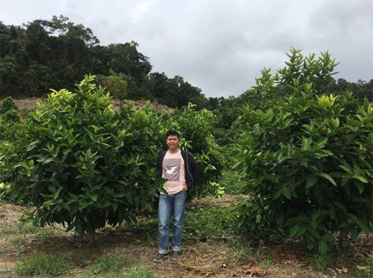 Technology-savvy generation comes back to farming