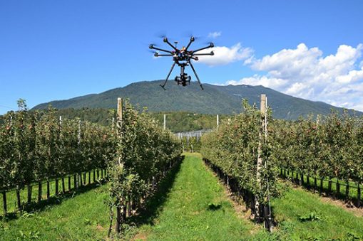 drone coltivazione mele Trentino Eye Scab Metacortex