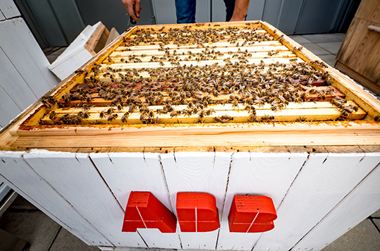 ABB api centro ricerca algoritmi