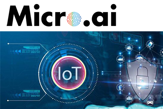 MicroAI rilevamento intrusioni edge