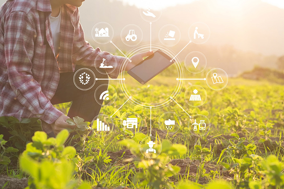 MAS Elettronica Mascetti connettività agricoltura tecnologica Agritech