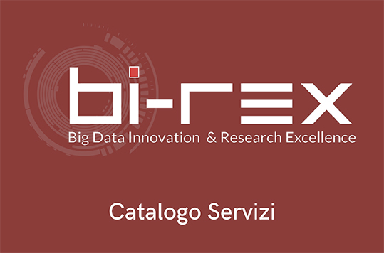 BI-REX bandi innovazione digitale e Catalogo dei servizi