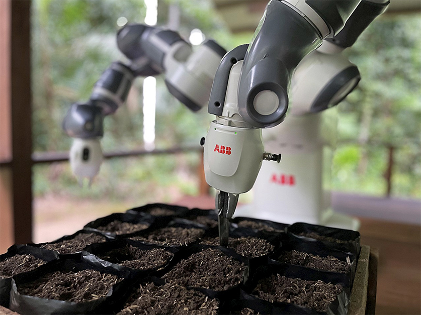 ABB robotica collaborativa cloud riforestazione Amazzonia Perù Junglekeepers semina cobot