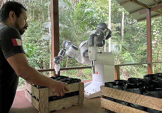 ABB robotica collaborativa cloud riforestazione Amazzonia Perù Junglekeepers