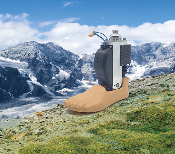 Faulhaber-motori-brushless-protesi-attiva-del-piede-Design-Pro-Technology