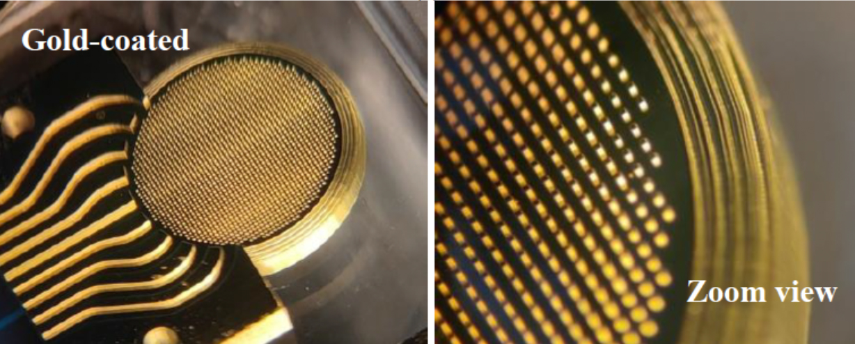 SolidManufacturing microfabbricazione additiva BMF gold coated