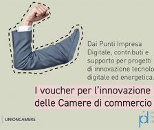 Unioncamere PID Bando Voucher Doppia Transizione
